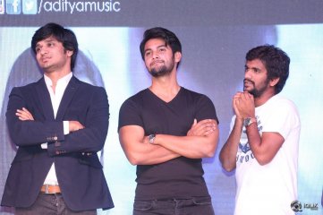 Seethamma Andaalu Raamayya Sithraalu Platinum Disc Function